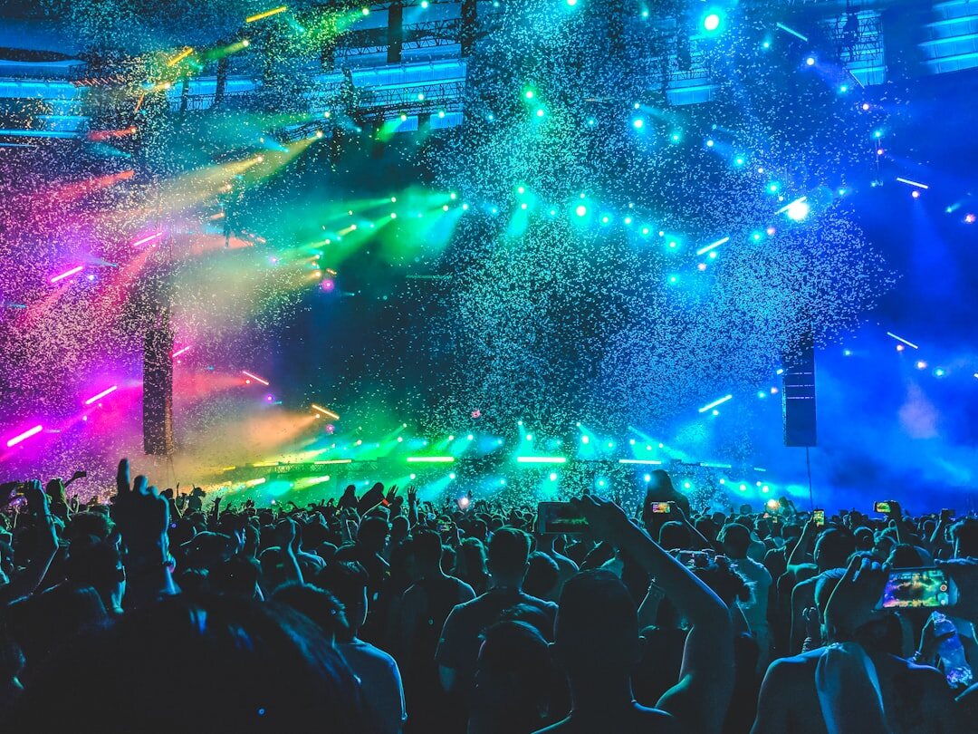 crowd at music event